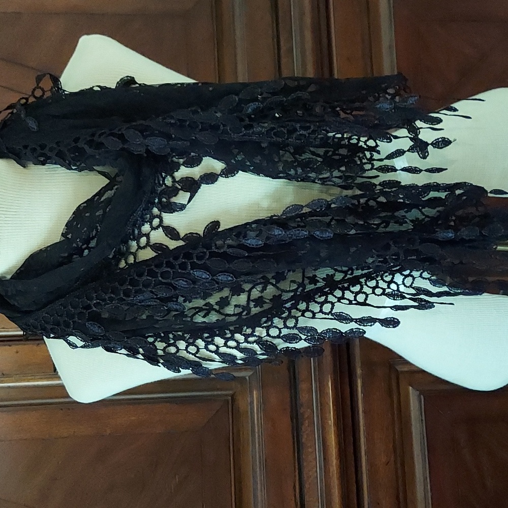 Beautiful Lace Scarf - Arianna by Howards - NWT